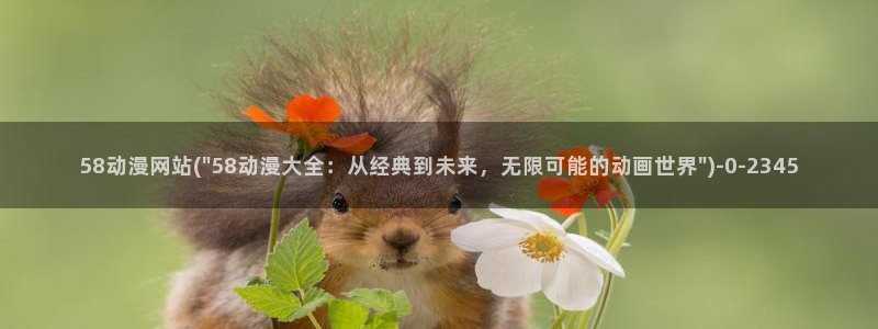 动漫爱情：58动漫网站(\