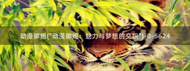 动漫国