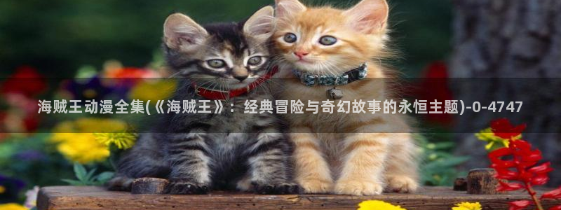动漫巴士